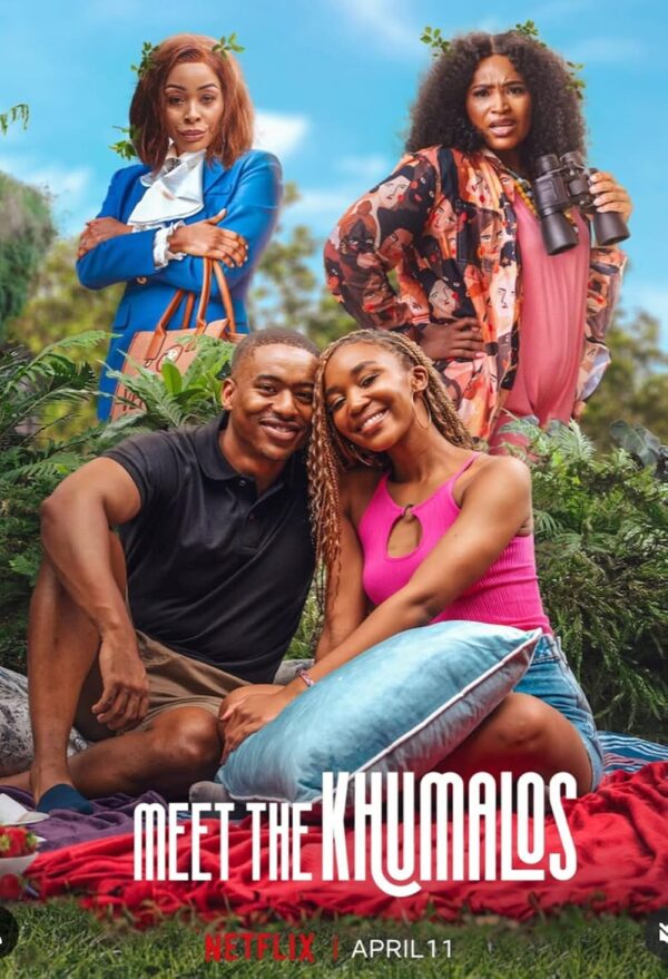 Netflix Subscription (Monthly) - Image 5