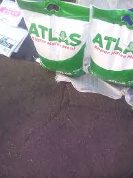 ATLAS SUP MAIZE MEAL 1X10KG