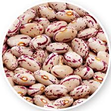 DRUMMOND SUG BEANS 1X500G