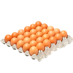 FESTIVE EGGS LRG 30s