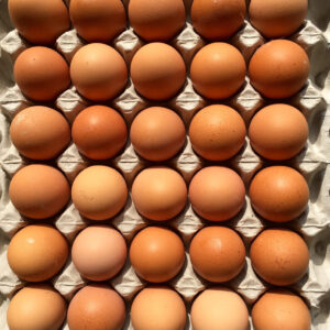 FESTIVE ST EGGS 30S