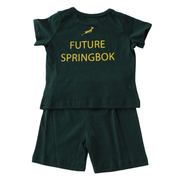 Springbok Buster Set