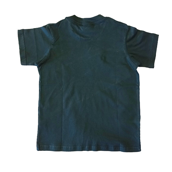 Springbok Youth Graphic tee