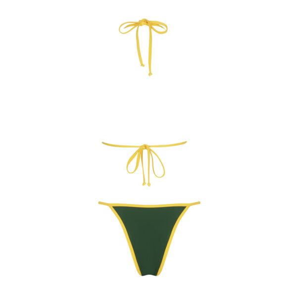 Springbok Dee Dee Bottom